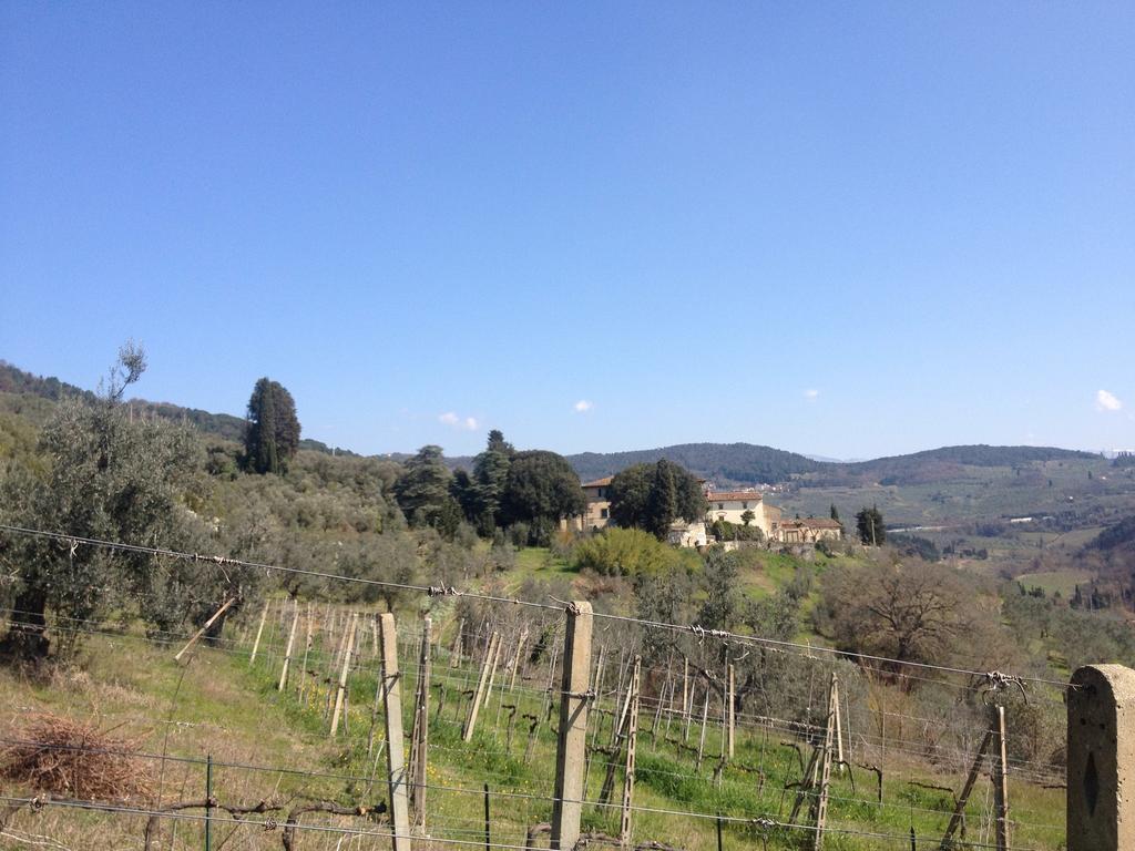 Dauphine Farm stay